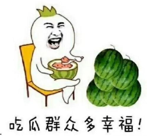 吃瓜娱乐ship,揭秘娱乐圈背后的故事与真相