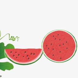 吃瓜娱乐素材视频下载,揭秘热门娱乐素材视频下载背后的秘密