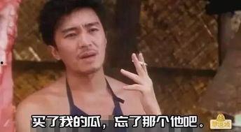 娱乐圈吃瓜搞笑图,搞笑图揭秘明星幕后趣闻